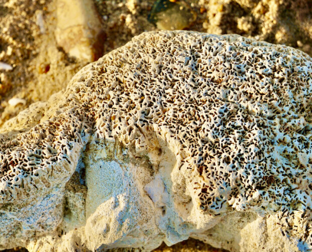 Roth, fine giustifica mezzi