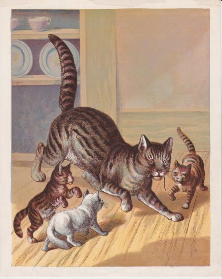 Vintage Print, The cats, 1890