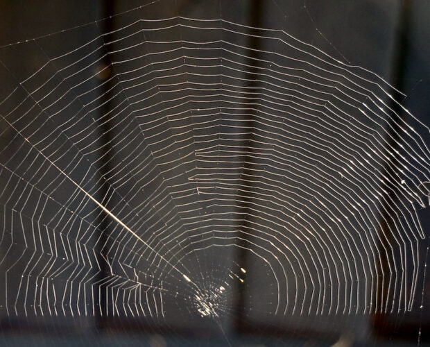 Presentazioni, libri, diventare scrittori