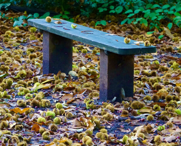 Poesie, innervature del retrosguardo