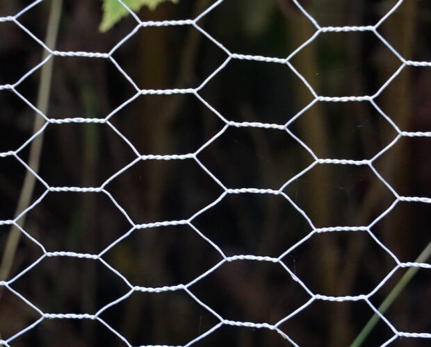 Aspirante ricercatore, libri antichi