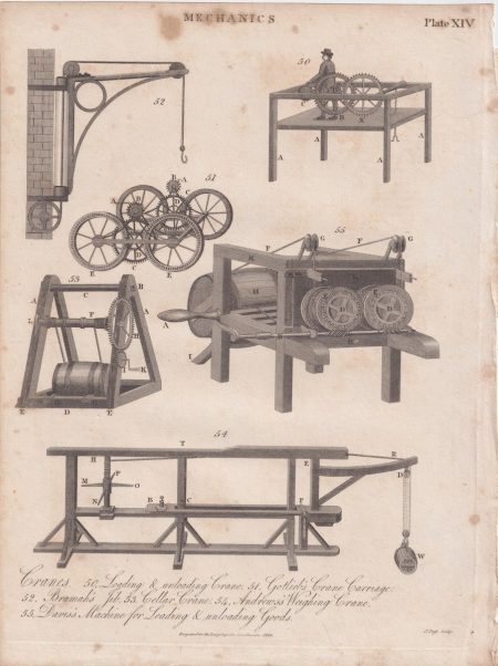 Antique Engraving Print, Cranes, 1816