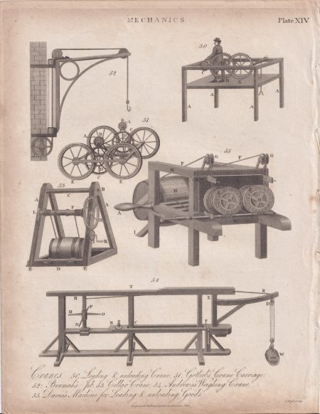 Antique Engraving print, Cranes, 1816