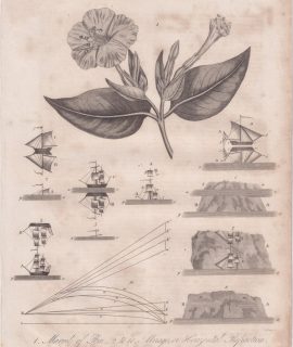 Antique Engraving Print, Mirabilis and Mirage, 1817