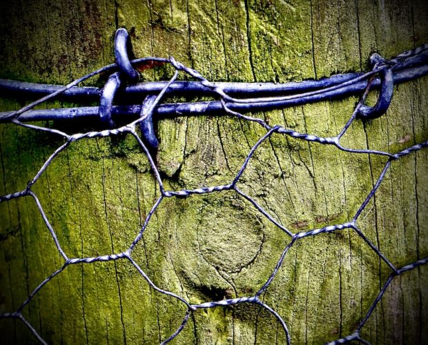 Dialogo scettico e destrutturalista