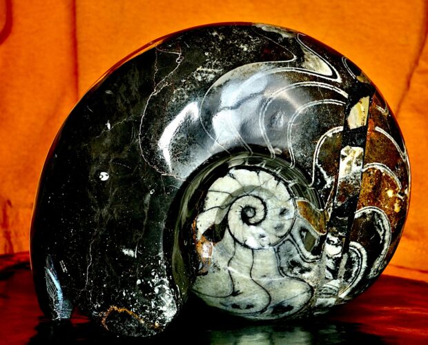 Noi Robot, Deus ex machina