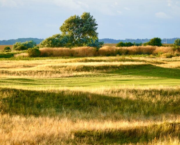 Point Rash-Judgement, William Wordsworth