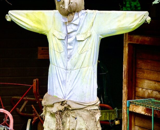 Poesia, scarto, cortocircuito, spazzatura