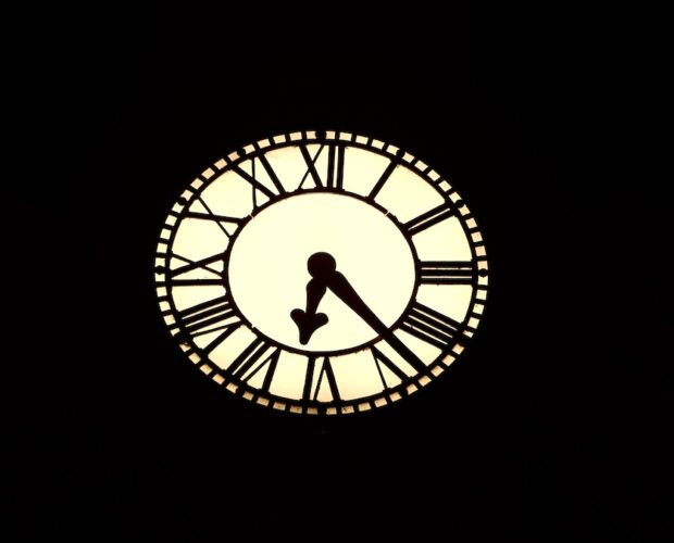 Editori grossi, piccoli, volpe, gallina