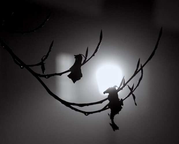 Dunque, facciamo una colletta?