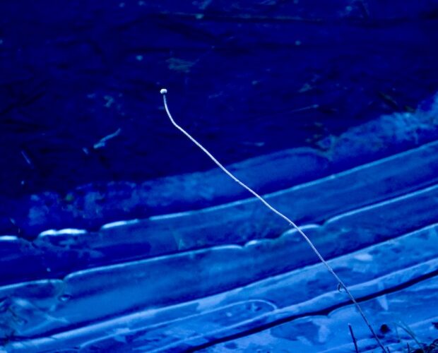 Astrattismo, Dadaismo e poi...