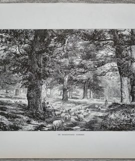 Antique Print, In Sherwood Forest, 1870 ca.