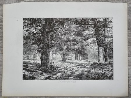 Antique Print, In Sherwood Forest, 1870 ca.