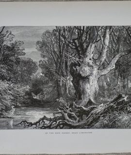 Antique Print, In the new forest, near Lymington, 1880