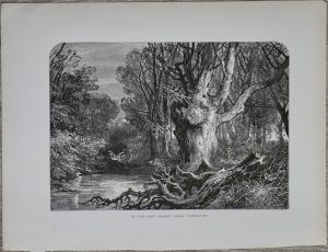 Antique Print, In the new forest, near Lymington, 1880