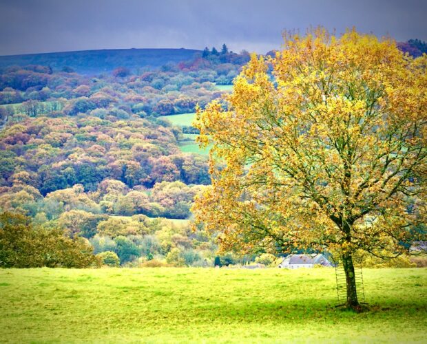 Mc Kay, quando arriva l'alba