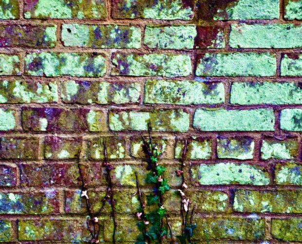 Svevo, letteratura, un bluff