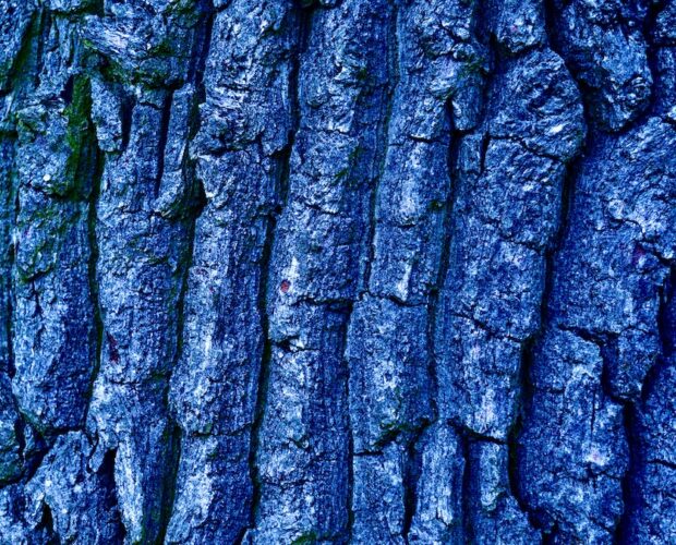 Hughes, McKay, Crane, poesie