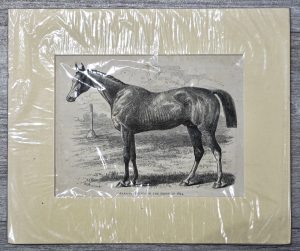 Vintage Print, Horse, 1860 ca.