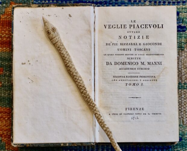 Ecco un libro curiosissimo