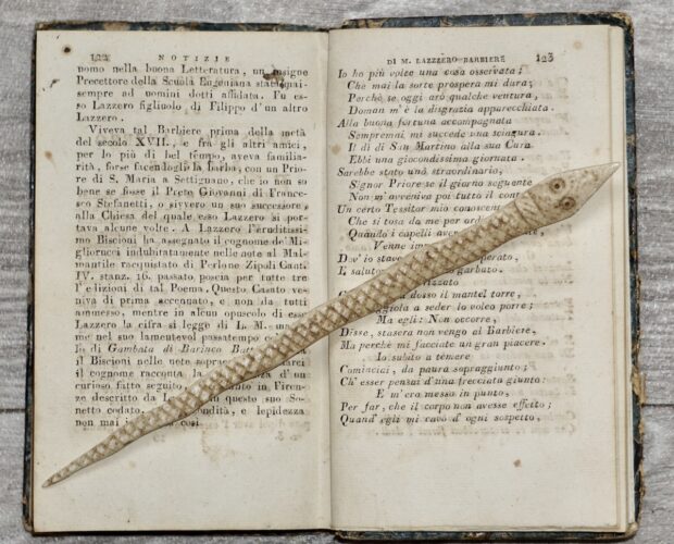 Poeti barbieri, Migliorucci, Burchiello