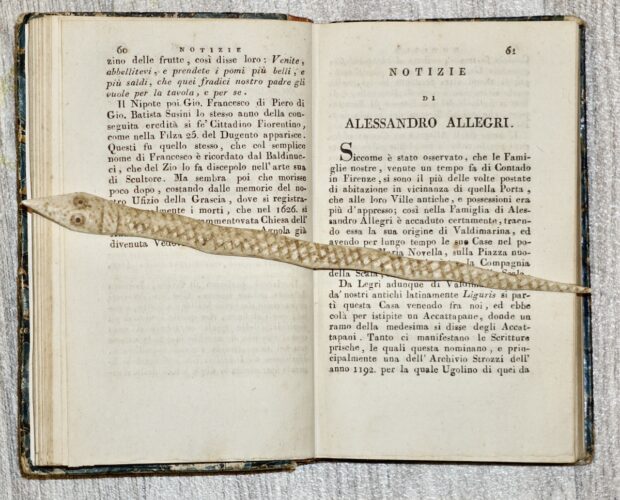 Alessandro Allegri, cortigiano pentito