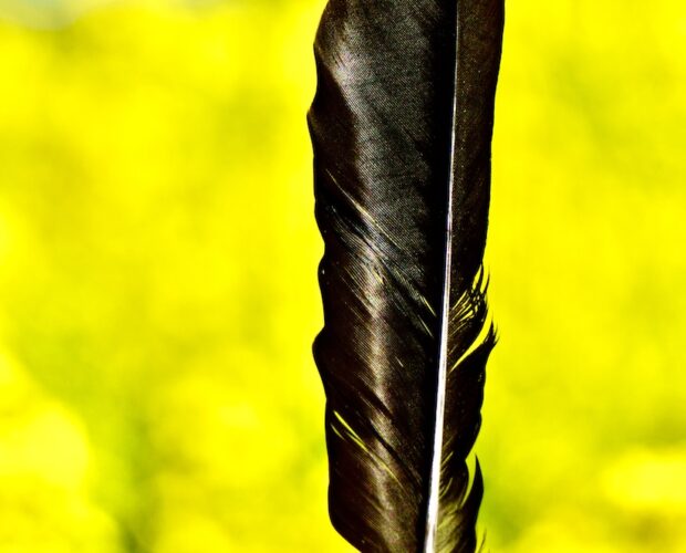 Poesia sdoganata, mai letta