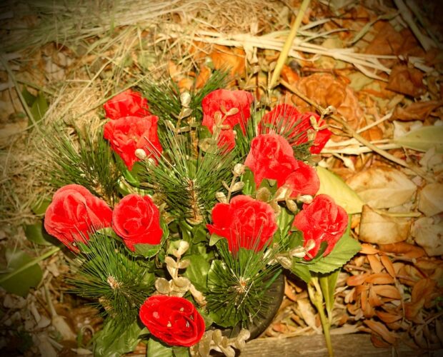 Elizabeth Bishop, integralismo yankee