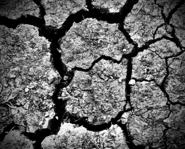 Magrelli, scivola la penna?