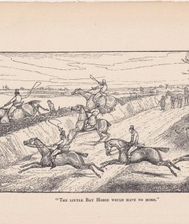 Antique Print, The little Bay Horse, 1840