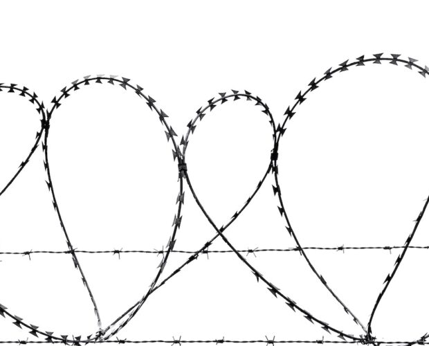 Fernanda Romagnoli, poetessa dimenticata