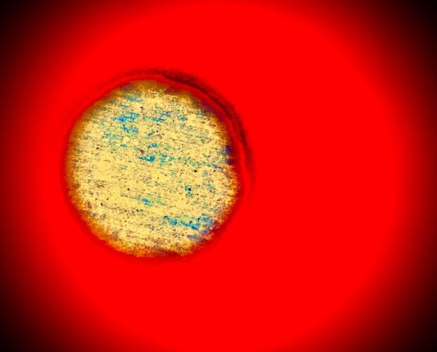 Il Dialogo sull'acqua