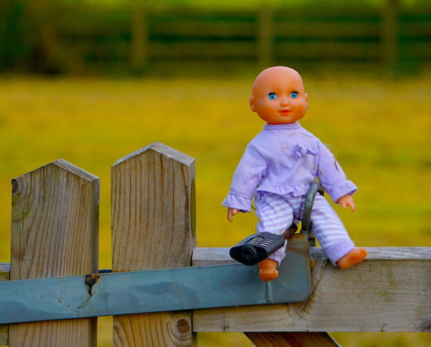 Cavalli, una poetessa morta