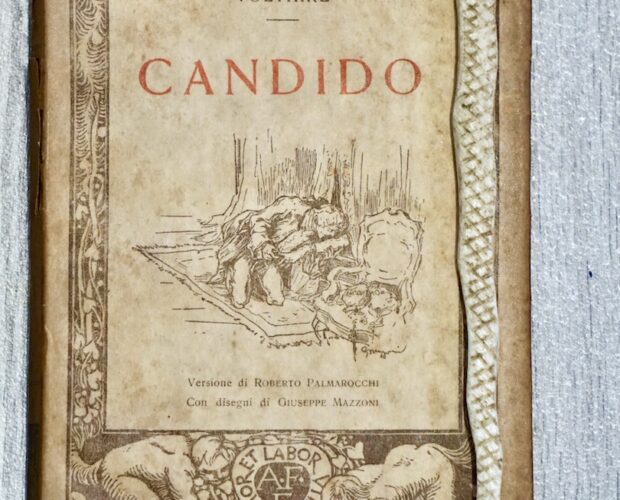 Candido, Voltaire contro Leibniz