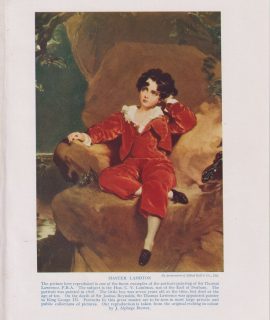 Vintage Print, Master Lambton, 1912