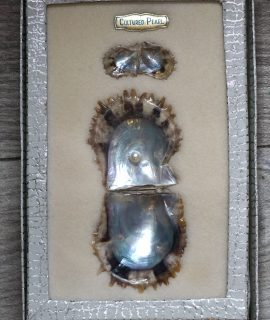 Vintage Cultured Pearl in Display Box