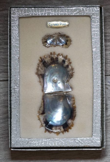 Vintage Cultured Pearl in Display Box