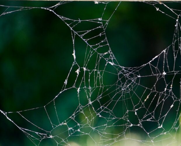 Da Trittico della crudeltà