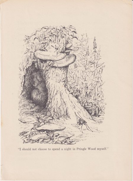 Antique Print, Pringle Wood, 1900 ca.