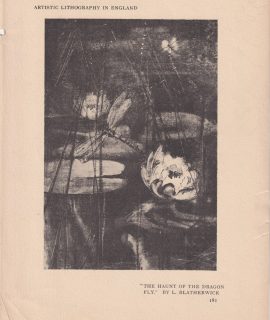 Vintage Print, Dragon Fly, 1920 ca.