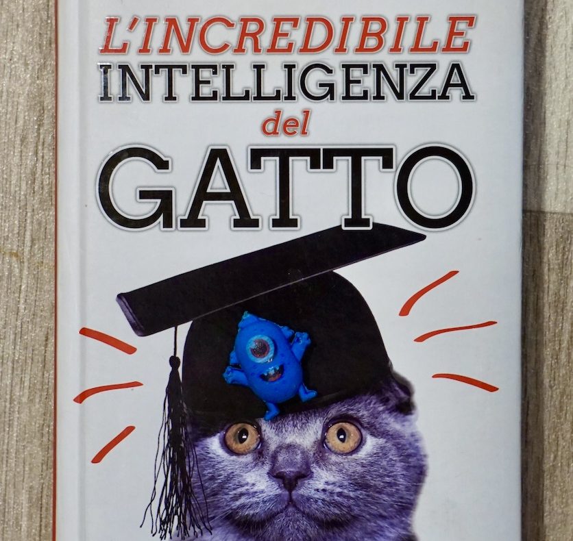 Incredibile intelligenza del gatto