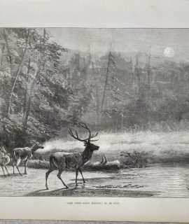Antique Print, Lake Scene, 1871