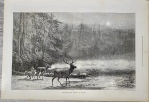 Antique Print, Lake Scene, 1871