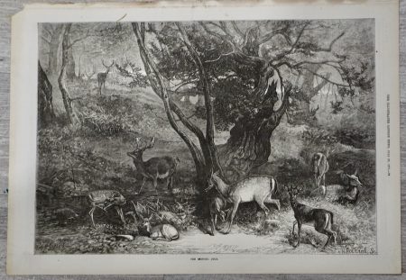 Antique Print, The Months: July, 1871