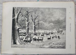 Antique Print, Deer in Richmond Park, 1875