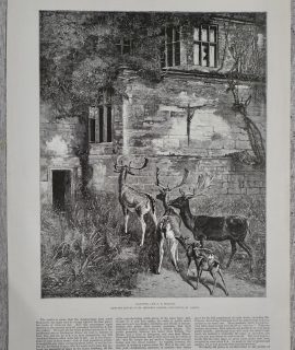 Antique Print, Haunted, 1884