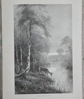 Vintage Print, Spring, 1899