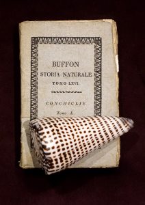 Storia delle Conchiglie, Buffon