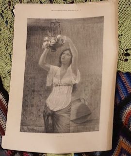 Vintage Print, Roses, 1900, credit Antiche Curiosità©