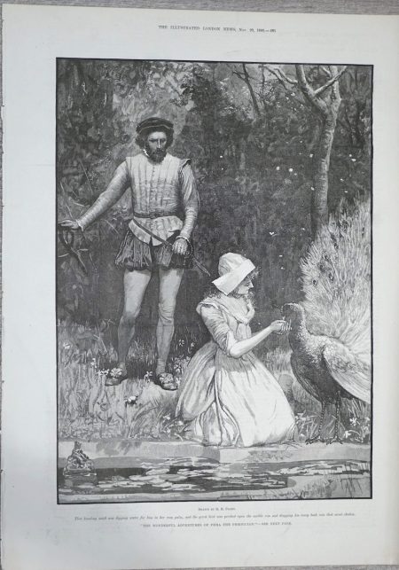 Vintage Print, The Wonderful Adventures, 1890
